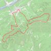 Itinéraire Saint-Roman-de-Mallegarde, distance, dénivelé, altitude, carte, profil, trace GPS