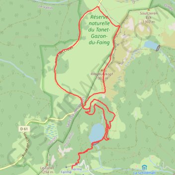 Itinéraire Le Lac vert-Gazon de Faite, distance, dénivelé, altitude, carte, profil, trace GPS