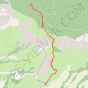 Itinéraire Sortie du Tête de BOURSIER (pivoines), distance, dénivelé, altitude, carte, profil, trace GPS
