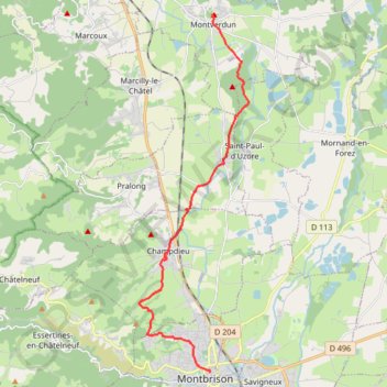 Itinéraire Montverdun - Montbrison, distance, dénivelé, altitude, carte, profil, trace GPS