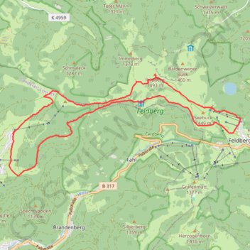 Itinéraire Todtnauberg (Rütte), Feldberg, Todtnauberg, distance, dénivelé, altitude, carte, profil, trace GPS